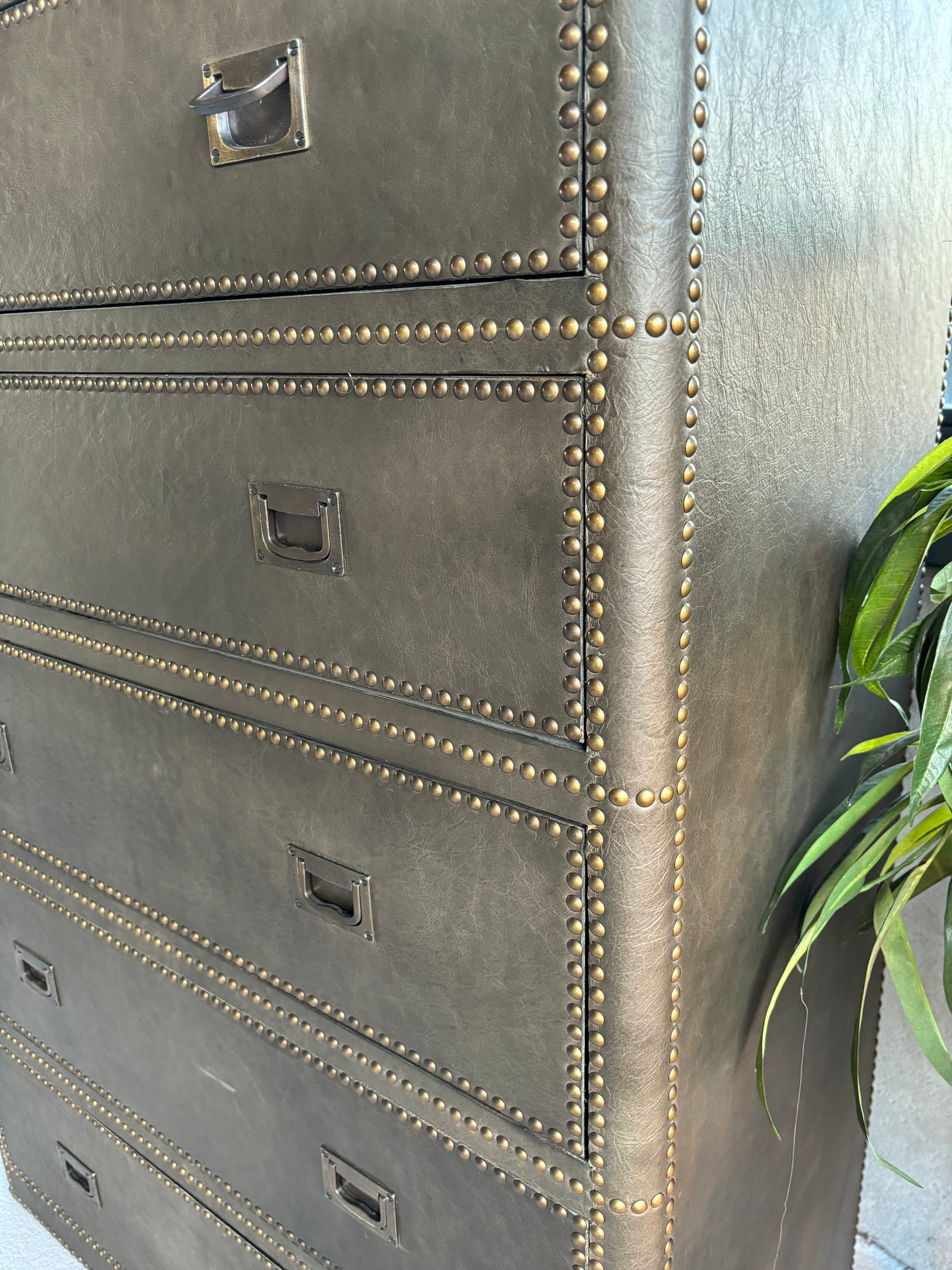 Parchment chest 5 drawers